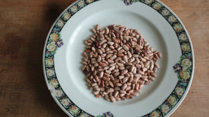 Catarino Beans